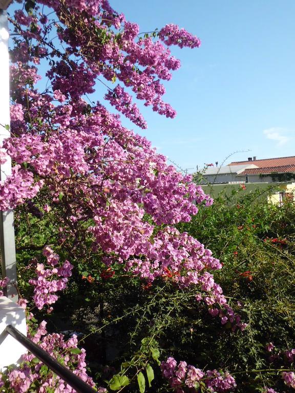 Apartments Viskovic มาคาร์สกา ภายนอก รูปภาพ